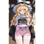 東方キャラにお願いしてぱんつ見せてもらった(夏休みの宿題) [d_629444]