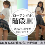 階段JK-綺麗な足と見えそうな純白パンツ-(萌の同人) [d_629953]