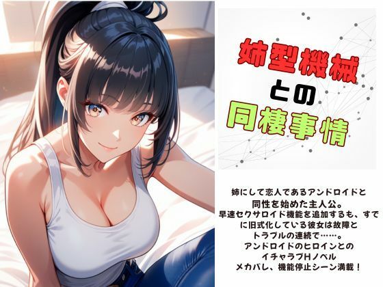 姉型機械との同棲事情(Meggy) [d_631400]