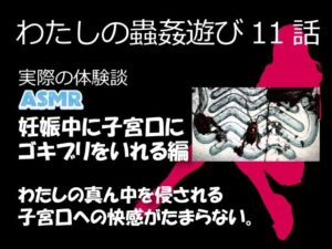 わたしの蟲姦遊び 第11話 妊娠中、子宮口にゴキブリを入れる編 音声（ASMR）(シングルママの日常) [d_632119]