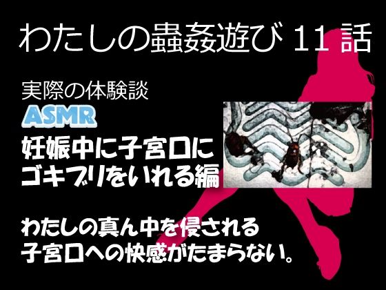 わたしの蟲姦遊び 第11話 妊娠中、子宮口にゴキブリを入れる編 音声（ASMR）(シングルママの日常) [d_632119]