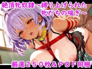 絶頂牝奴●〜縛り上げられた牝たちの喘ぎ〜(夢現堂Ｘ) [d_634583]