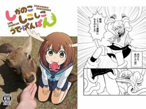 しかのこしこしこうでぱんぱん(卡滋箱) [d_636792]