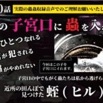 私の子宮口の中に蟲を入れる 第10話 近所の田んぼで見つけた蛭（ヒル）編(シングルママの日常) [d_636864]