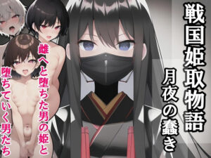 戦国姫取物語-月夜の蠢き-(melt) [d_637614]