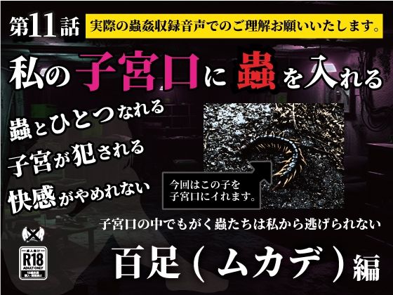 私の子宮口の中に蟲を入れる 第11話 百足（ムカデ）編(シングルママの日常) [d_636873]