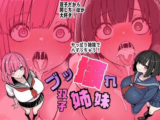 ブッ壊れ双子姉妹(WakiXAI) [d_641255]