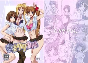 なまリリカル(なまやつはし) [d_644734]