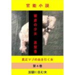 被虐の少女  第4巻(立花祐輔) [d_649531]