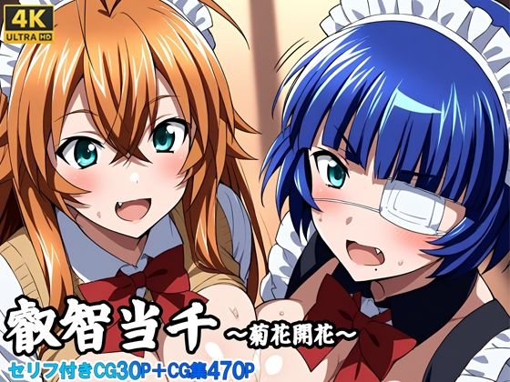 叡知当千〜菊花開花〜(さきっぽ5センチメートル) [d_650418]