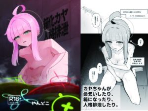 箱化カヤ人格排泄(やんどこ) [d_652010]