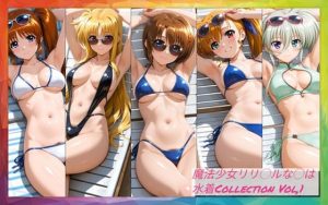 魔法少女リリ◯ルな◯は  水着Collection Vol，1(まひるコレクション) [d_653053]