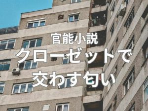 クローゼットで交わす匂い  前編(nawomi) [d_653093]