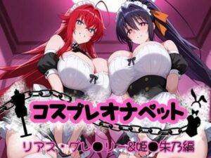コスプレオナペット 〜リアス・グレ●リー＆姫●朱乃編〜 【全500枚】(ロリオネ堂) [d_655372]