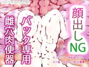 性愛肉便器コルリ姫様はtheythemいずれかあるいはどちらでもない。(ヒロカワミズキ（スタジオ・ジナシスタ！！）) [d_655529]