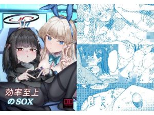 効率至上のSOX(迪達迪達達) [d_656403]