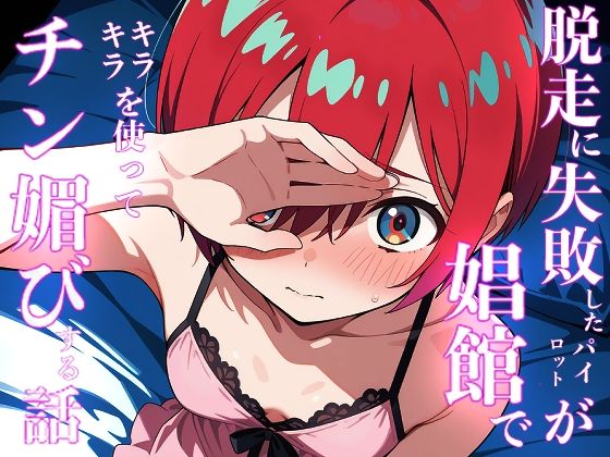 脱走に失敗したパイロットが娼館でキラキラを使ってチン媚する話(派遣社員) [d_608346]