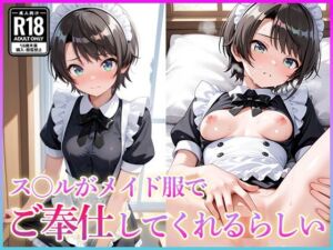 ス〇ルがメイド服でご奉仕してくれるらしい(妄想コレクション) [d_609813]