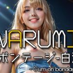 AI NARUMI – Cum on bondage -(Karasu Publishing) [d_612557]