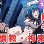 【調教・拘束・触手】ゼ●ヴィア(人工夢幻堂) [d_612602]