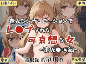 超絶不幸〜色んなシチュエーションでレ●プされる可哀想な女〜逢坂●河編(HB鉛筆) [d_617921]