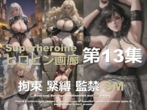 ヒロピン画廊 第13集(DA Fantasy) [d_620849]