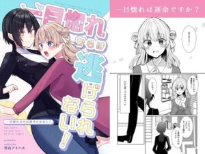 一目惚れからは逃げられない！(ヒイロイズム) [d_649903]