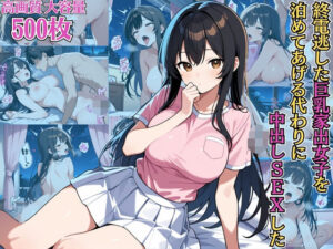 終電逃した巨乳家出女子を泊めてあげる代わりに中出しSEXした【NTR】【種付けプレス】【女子校生】【CG500枚】(アーナルデ・シメツケネッガー) [d_658258]