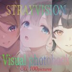 STRAYVISION Visual photobook(ダブルスラッシュ) [d_658356]
