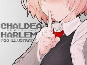 カルデア・ハーレム1(con-patch) [d_659086]