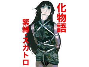 化物語  緊縛・スカトロ(しゃがみ小パンチ) [d_659716]