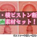 著作権フリー ピストン子宮断面動画素材セット 縦・横バージョン(monty) [d_661810]