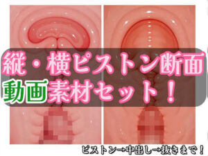 著作権フリー ピストン子宮断面動画素材セット 縦・横バージョン(monty) [d_661810]