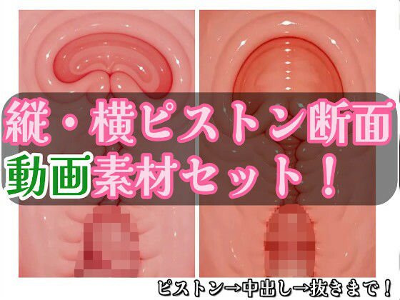 著作権フリー ピストン子宮断面動画素材セット 縦・横バージョン(monty) [d_661810]
