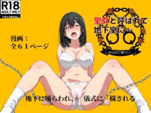 聖女と呼ばれて地下室に…帰宅途中に攫われて(絹宝団) [d_665306]