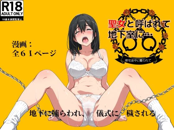 聖女と呼ばれて地下室に…帰宅途中に攫われて(絹宝団) [d_665306]