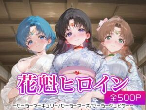 花魁ヒロイン_セーラーマーキュリー/セーラーマーズ/セーラージュピター(ネオンフルーツ) [d_666784]