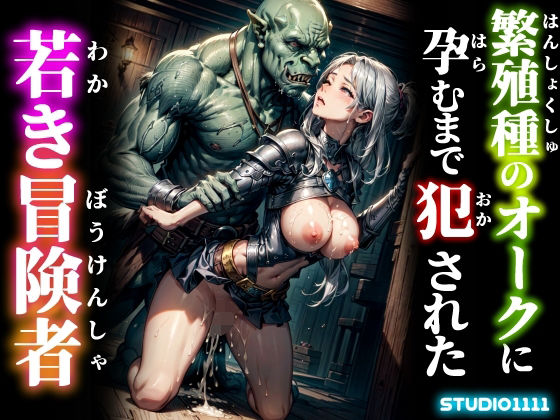 繁殖種のオークに孕むまで犯●れた若き冒険者(studio1111) [d_668141]