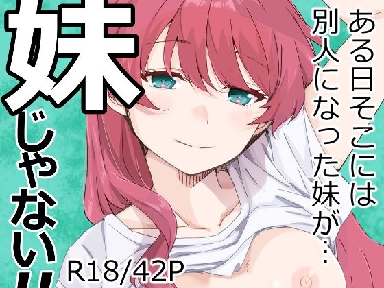 妹じゃない！(海ねこ舎) [d_670489]