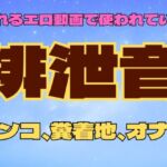 排便音（1）【ウンコ・ウンコ着地・屁】(フェチリズムセンター♪) [d_675608]
