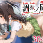 調教ノ虜 結城○柑(パイパニック) [d_590309]