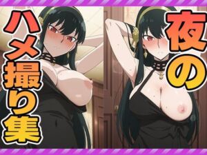 夜のハメ撮り集(ぽんぽんたぬきち) [d_597508]