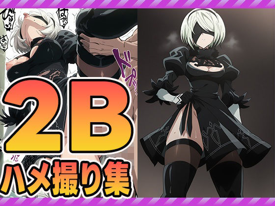 2Bハメ撮り集(ぽんぽんたぬきち) [d_598351]