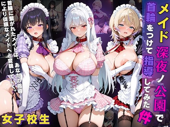 女子校生 メイド 深夜ノ公園で首輪をつけて指導してみた件(StableWorks) [d_633248]