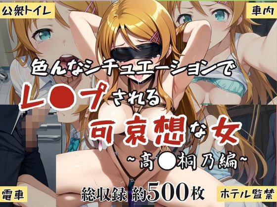 超絶不幸〜色んなシチュエーションでレ●プされる可哀想な女〜高●桐乃編(HB鉛筆) [d_634249]
