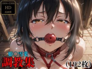 姫〇雪菜  調教集(調教師) [d_676106]