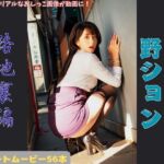 見られちゃった野ション 路地裏編(P-AI planning) [d_676472]