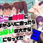 従妹の姉妹に 何年かぶりに会ったら おっぱいの大きな JKになってた3(さまよゆもい) [d_678062]