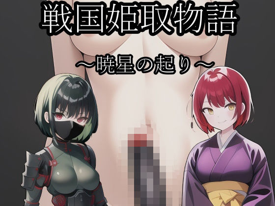 戦国姫取物語〜暁星の起り〜(melt) [d_678751]