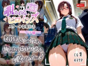 覗かれるヒロインズ〜エヴァ〇ゲリオン マリ編〜(けるべろす) [d_679552]